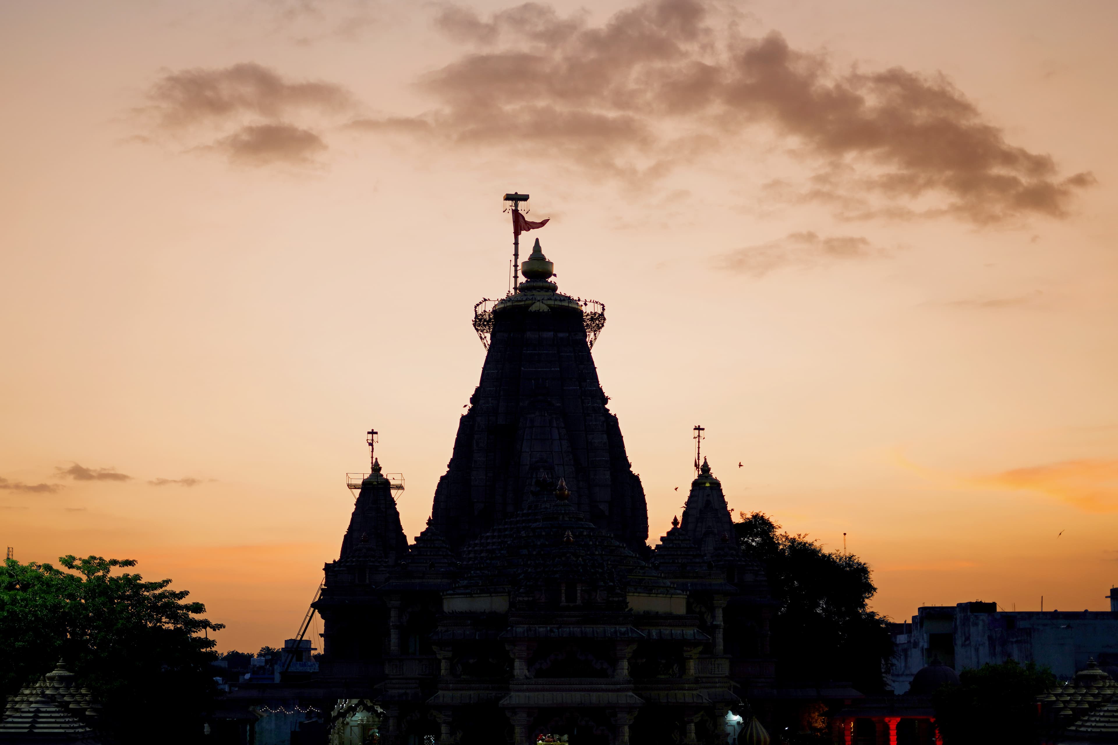 Temple Darshan