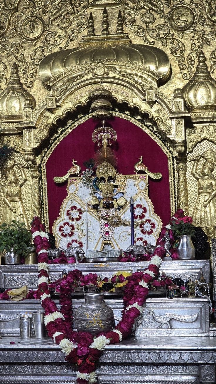 Divine Archive Darshan 4